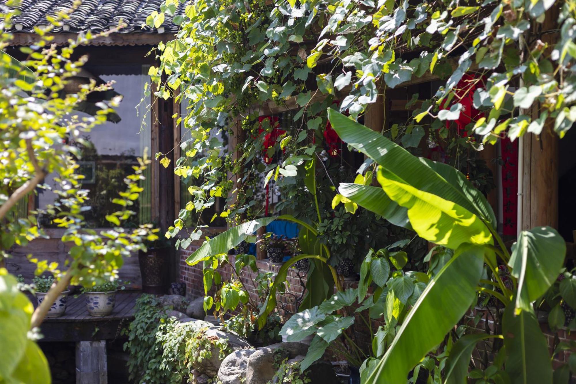 Butterfly Flowers Inn จางเจียเจี้ย ภายนอก รูปภาพ