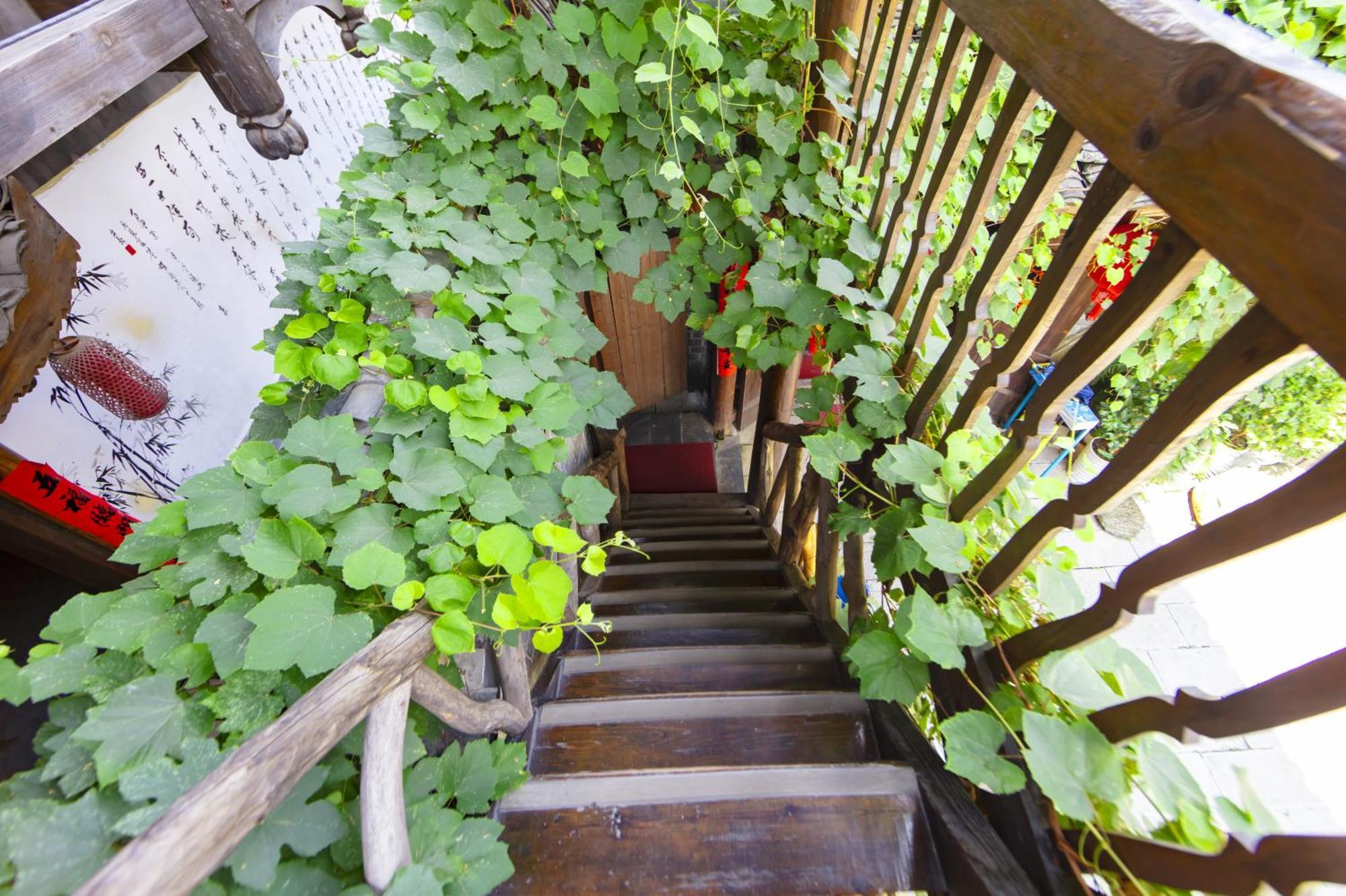 Butterfly Flowers Inn จางเจียเจี้ย ภายนอก รูปภาพ